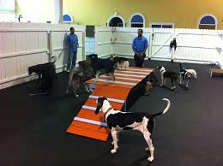 Plain Rubber Kennel Flooring - Slip Not Co Uk