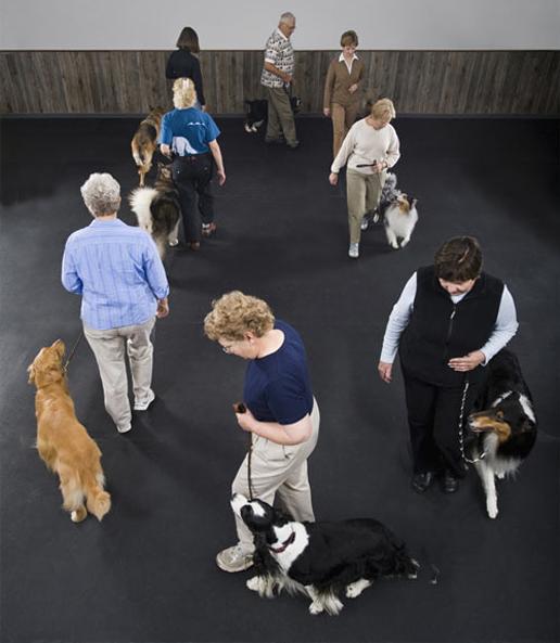 Plain Rubber Kennel Flooring - Slip Not Co Uk