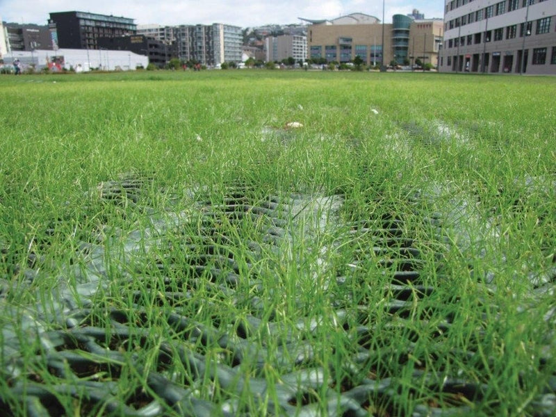 Standard Grass Protection Reinforcement Mesh